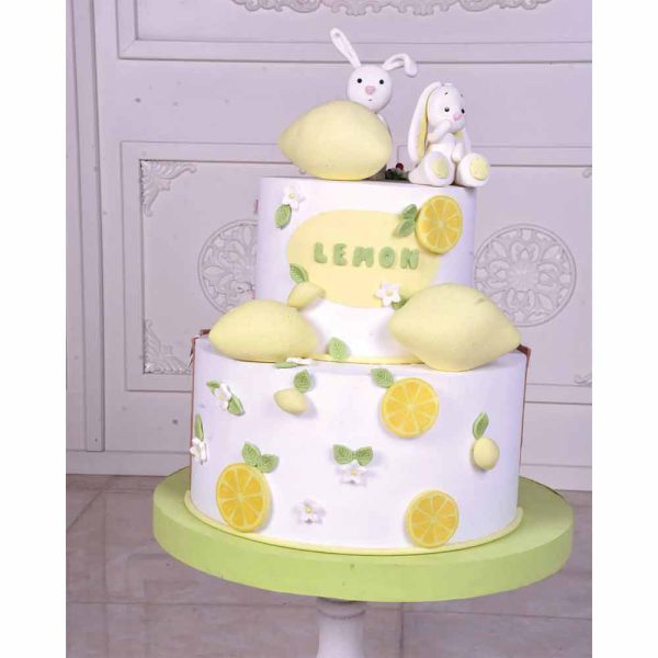 ماکت کیک دو طرفه لیمو و خرگوش | فتوپایتخت
